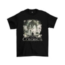 Camiseta Algodão Premium PlayStation Game Shadow of the Colossus